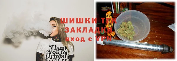 PSILOCYBIN Алзамай