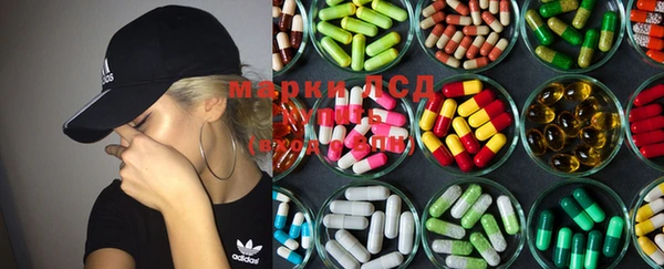 PSILOCYBIN Алзамай
