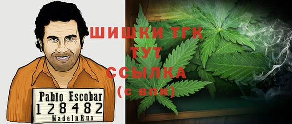 PSILOCYBIN Алзамай